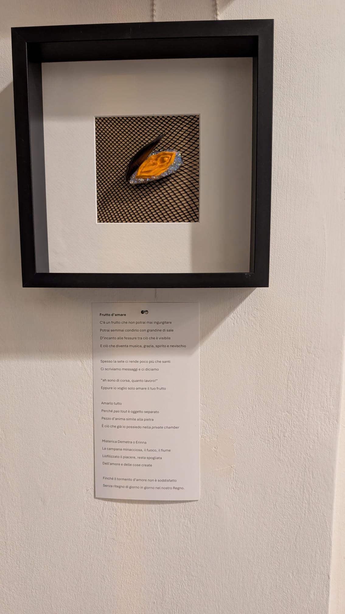 WhatsApp Image 2025-12-02 at 21.04.53.jpeg